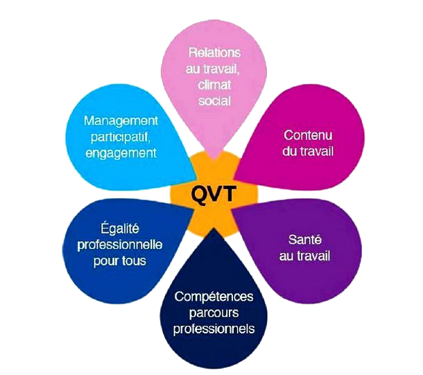 QVT